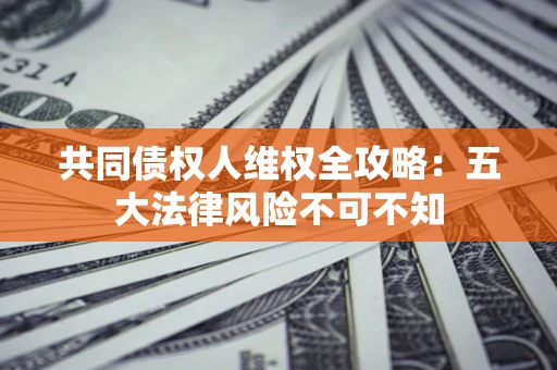 武汉共同债权人维权全攻略：五大法律风险不可不知
