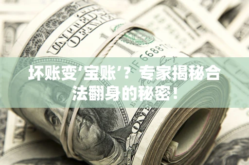 武汉坏账变‘宝账’？专家揭秘合法翻身的秘密！