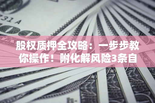武汉股权质押全攻略：一步步教你操作！附化解风险3条自救法则
