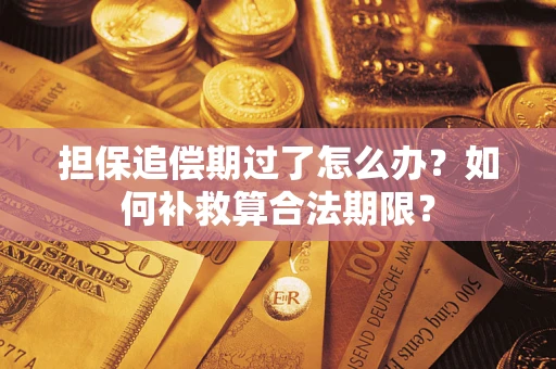 武汉担保追偿期过了怎么办？如何补救算合法期限？