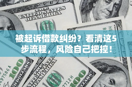 武汉被起诉借款纠纷？看清这5步流程，风险自己把控！