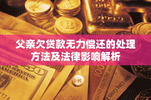 武汉父亲欠贷款无力偿还的处理方法及法律影响解析