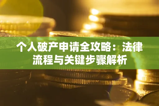武汉个人破产申请全攻略：法律流程与关键步骤解析