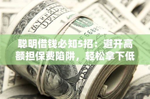 武汉聪明借钱必知5招：避开高额担保费陷阱，轻松拿下低息贷款