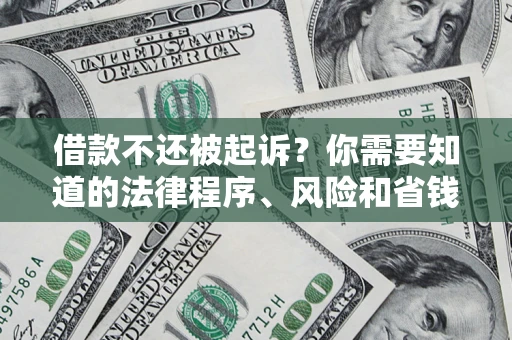武汉借款不还被起诉？你需要知道的法律程序、风险和省钱技巧