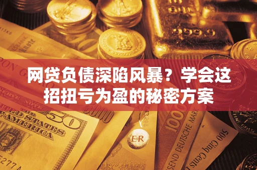 武汉网贷负债深陷风暴？学会这招扭亏为盈的秘密方案